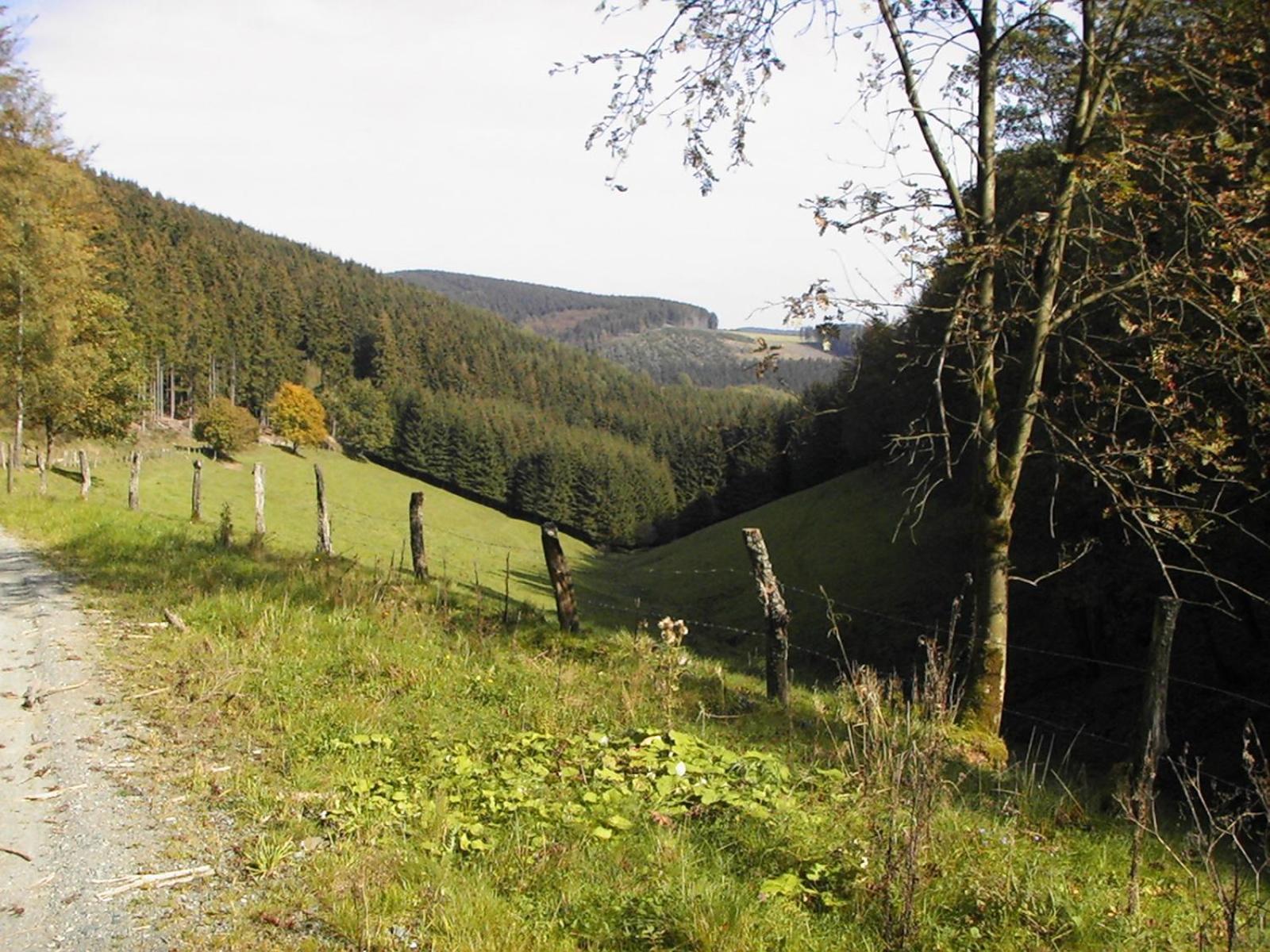 Sonneneck Hotel Winterberg Exterior photo